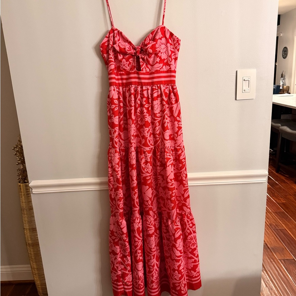 Francesca's Collections Red Floral Maxi Dress